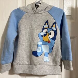 Bluey Hoodie